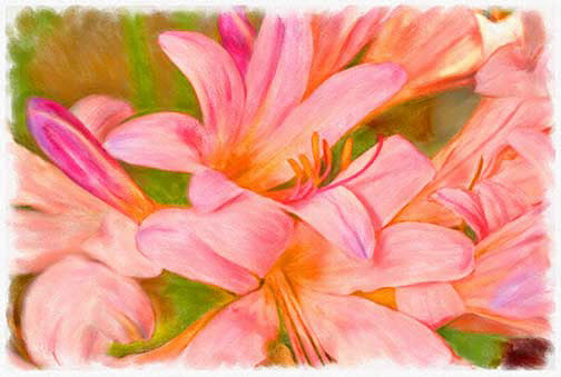 %_tempFileNamemeadow-saffron%
