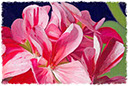 %_tempFileNamegeranium%