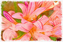%_tempFileNamemeadow-saffron%